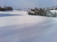 圧雪の上に新雪が乗った朝イチの中央ゲレンデ