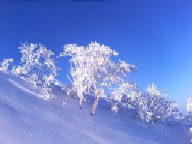 やっぱ滑りとぅえ〜