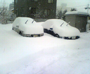 手前の除雪の断面見えるかな？