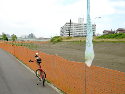 この左側がサイクリングロード、ここは遊歩道