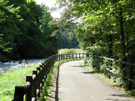 千歳川ぞい